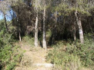 Plot in Javea