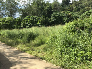 750 sqm Plot of Gently Sloping Land in..
