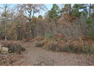 28107 - Vente - Terrain - Vergt