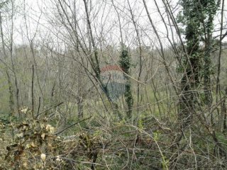 Građevinska zemljišta 2800m2+4000m2