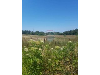 Istra, Lovrečica, poljoprivredno zemljište 2 km od mora