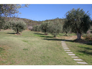 Property - Umbria - For Sale