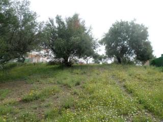 Land - GREAT DEVELOPMENT OPPORTUNITY..