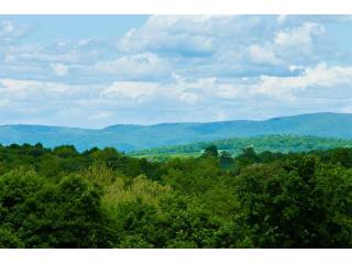 Land For Sale: Gallatin, New York