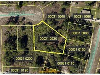 Land For Sale: Lehigh Acres, Florida