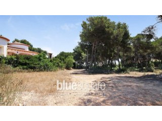 PLOTS WITH SEA VIEW