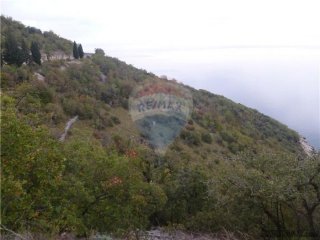 BRSEČ - GOLOVIK