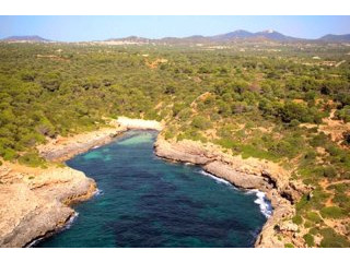 Fantastic plot with project in quiet..