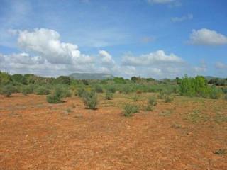 Large plot with perfect location in..