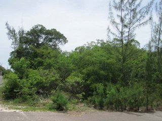 Singlefamilyvacant - This large single..