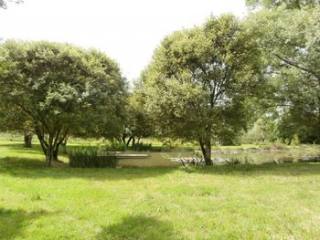 Beautiful Pond On 2,19acres