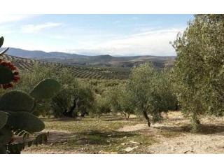 Townhouse for sale in Villanueva De..