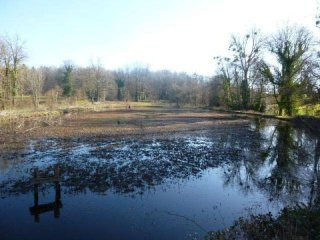 Large Lake Set In 1 Hectare Of Land In..