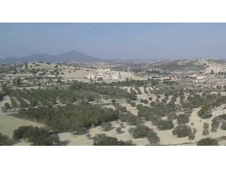 Larnaca