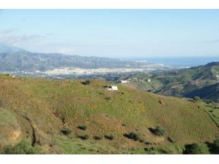Country Houses for Sale in Iznate..