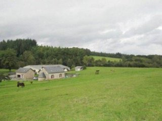 House with Equestrian Facilities