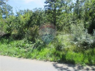 PERMANI - 13.400 M2 - NEGRAĐEVINSKOG ZEMLJIŠTA