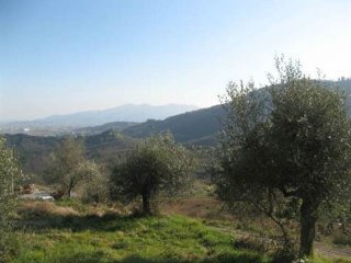 Homes for Sale in Lucca, Tuscany..