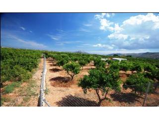 Plot For Sale Sanet y Negrals - Ref:..