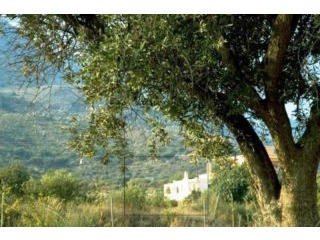 Cortijo / Country House in Mojacar