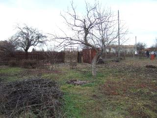 Land in Vedrina, Dobrich