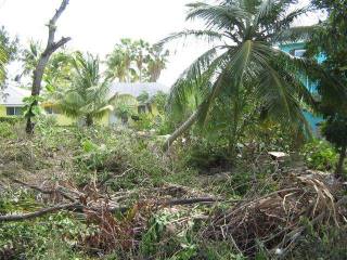 Singlefamilyvacant - Beautiful hillside..