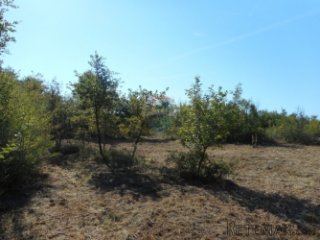 POREČ: GRAĐEVINSKO ZEMLJIŠTE 7km OD GRADA