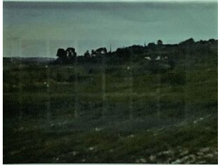 Large Agricultural Plot With Zoning..