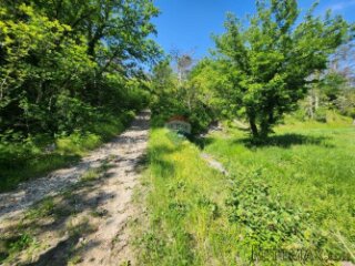 Istra, Buzet - 15ha, zemljište u prenamjeni