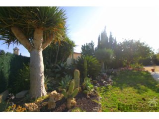 Beautiful detached villa located near the nature reserve in..