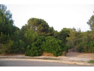 Flat Plot Of 1.802 M2 With Sea Views..