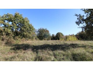VIŠNJAN, okolica-građevinsko zemljište