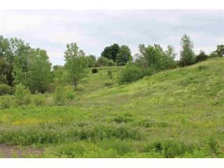 Land For Sale: Livingston, New York