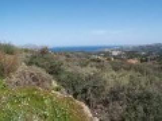 Great Spot For New Residential..