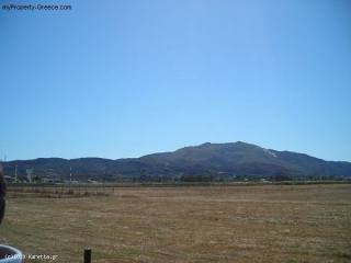 Land - Zakynthos - For Sale