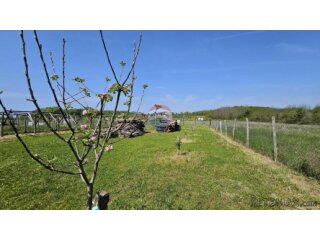 Istra,Umag okolica-uređeno zemljište 1.400 m², 3 km od mora
