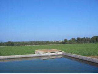 Finca, must be refurbished completely