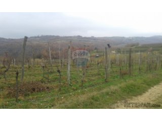Momjan, građevinsko zemljište s otvorenim pogledom