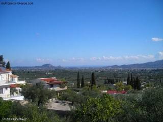 Land - Zakynthos - For Sale