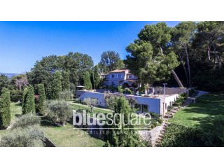 Exceptional domain in MOUGINS