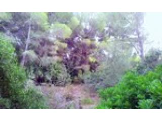 - Land - For Sale