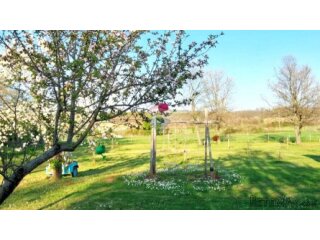Istra,Umag,okolica-Poljoprivredno zemljište s vodom