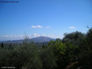 Land - Zakynthos - For Sale