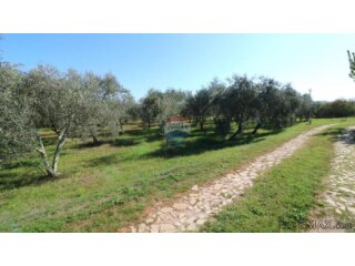 Novigrad, okolica - građevinsko zemljište 514 m²
