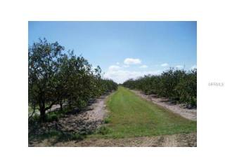 Land For Sale: 10518 & 10576 County..