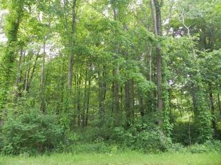 Land For Sale: Clinton, New York