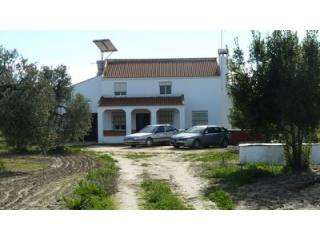 Finca Farm - Awaiting further details..