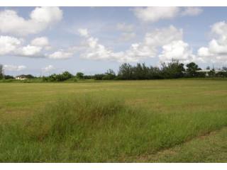 Property For Sale: Friendship 55770..