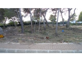 V1621 - Land Plot On La Guardia Park In..