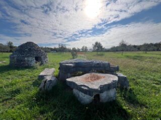 Istra, Vodnjan -okolica, maslinik na zemljištu od 14.000m2
